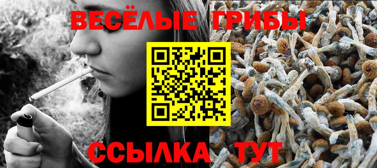 Сургут  купить закладку  Вход с VPN  Псилоцибиновые грибы ЛСД 